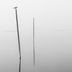 seagull sitting on a stake in. a. body of water (Jan Huber/Unsplash)